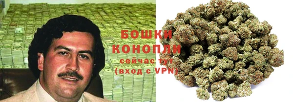 прущие крисы Абаза