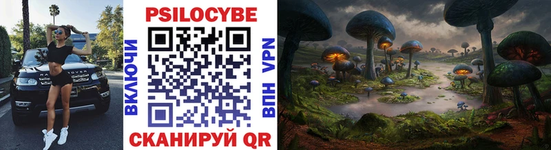 Галлюциногенные грибы Cubensis  Болгар 